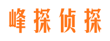 云城市调查公司